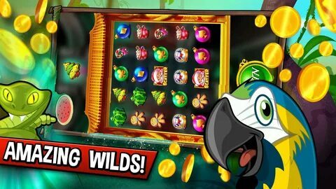 dpo office br betano com 