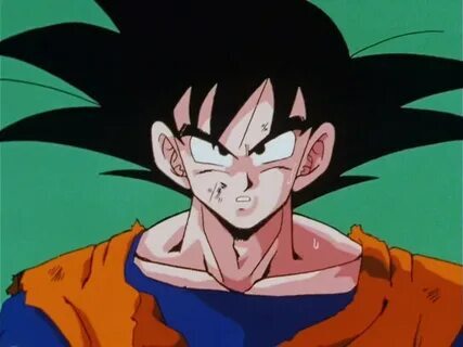 finalização bet365 