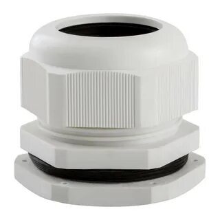 jogo do bicho pt rio hoje 