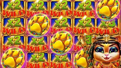 monopoly live results today india 